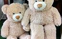 Categoria de urso de pelucia